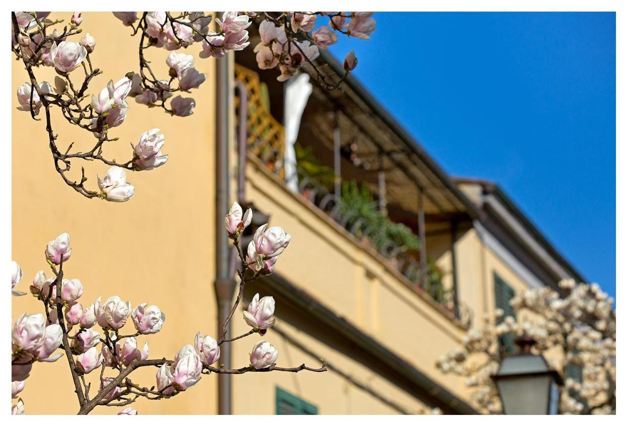 Casa San Girolamo Historic Flat With Cosy Terrace In Lucca'S City Centre Exterior photo